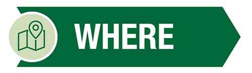 Where