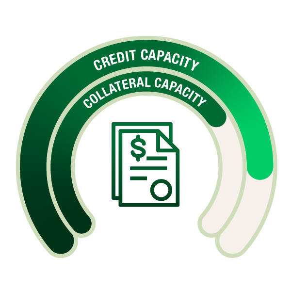 Credit and Collateral Capacity